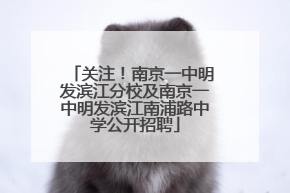 关注！南京一中明发滨江分校及南京一中明发滨江南浦路中学公开招聘