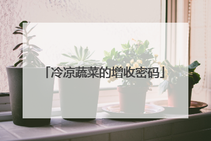 冷凉蔬菜的增收密码