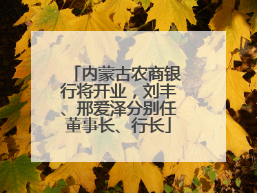 内蒙古农商银行将开业，刘丰、邢爱泽分别任董事长、行长