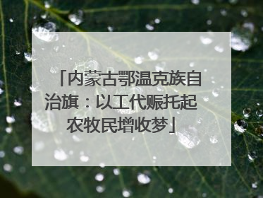 内蒙古鄂温克族自治旗：以工代赈托起农牧民增收梦
