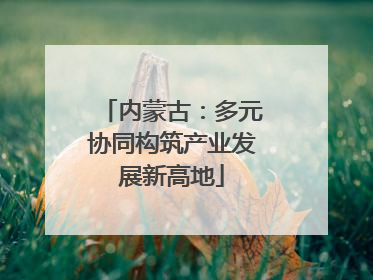 内蒙古：多元协同构筑产业发展新高地