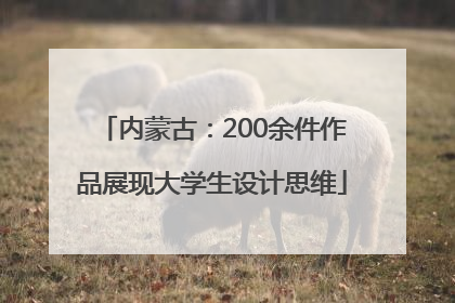 内蒙古：200余件作品展现大学生设计思维