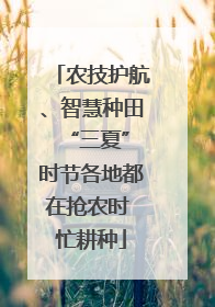 农技护航、智慧种田 “三夏”时节各地都在抢农时 忙耕种