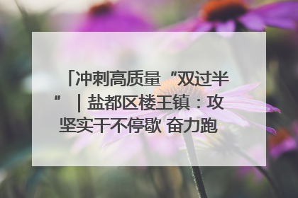 冲刺高质量“双过半”｜盐都区楼王镇：攻坚实干不停歇 奋力跑赢“上半场”