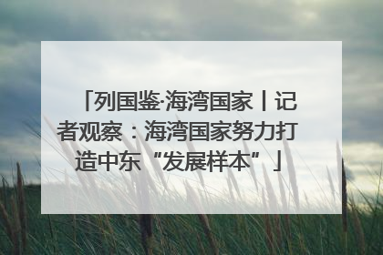 列国鉴·海湾国家丨记者观察：海湾国家努力打造中东“发展样本”