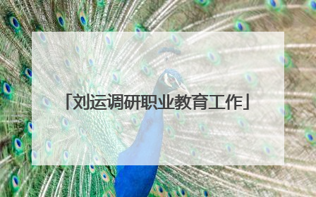 刘运调研职业教育工作