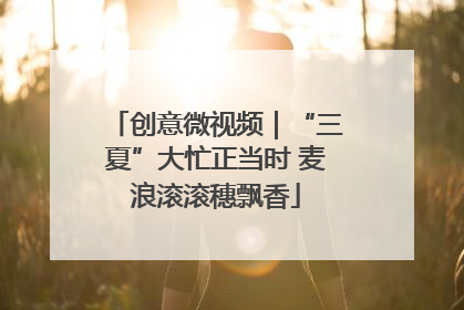 创意微视频|“三夏”大忙正当时 麦浪滚滚穗飘香
