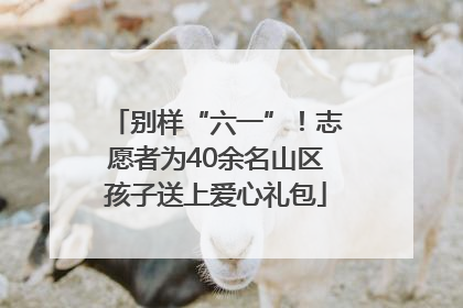 别样“六一”！志愿者为40余名山区孩子送上爱心礼包