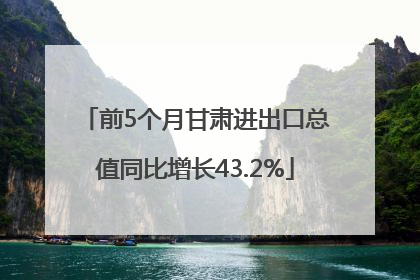 前5个月甘肃进出口总值同比增长43.2%