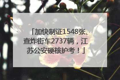 加快制证1548张、查炸街车2737辆，江苏公安硬核护考！