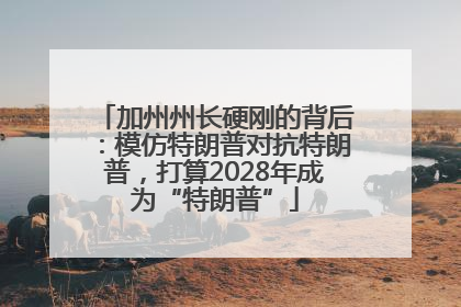加州州长硬刚的背后：模仿特朗普对抗特朗普，打算2028年成为“特朗普”