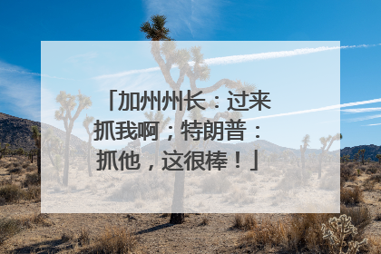 加州州长：过来抓我啊；特朗普：抓他，这很棒！