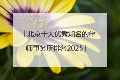 北京十大优秀知名的律师事务所排名2025