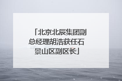 北京北辰集团副总经理胡浩获任石景山区副区长