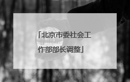 北京市委社会工作部部长调整