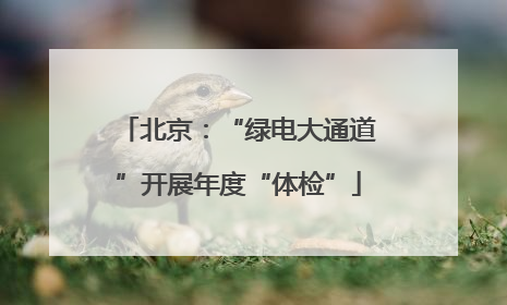 北京：“绿电大通道”开展年度“体检”