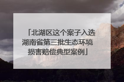 北湖区这个案子入选湖南省第三批生态环境损害赔偿典型案例