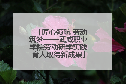 匠心领航 劳动筑梦——武威职业学院劳动研学实践育人取得新成果