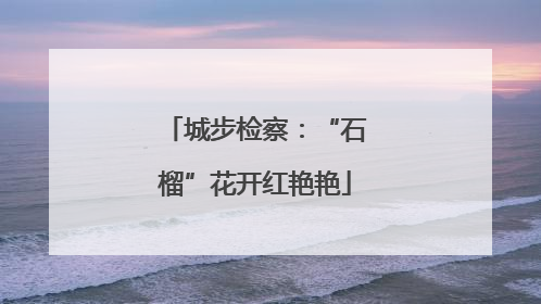 城步检察：“石榴”花开红艳艳
