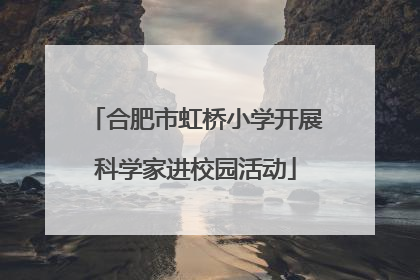 合肥市虹桥小学开展科学家进校园活动