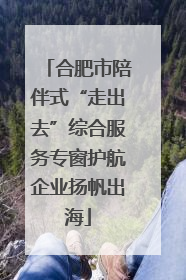 合肥市陪伴式“走出去”综合服务专窗护航企业扬帆出海