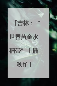 吉林：“世界黄金水稻带”上插秧忙