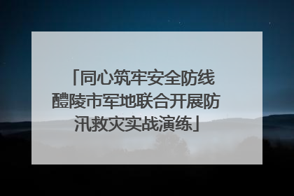 同心筑牢安全防线 醴陵市军地联合开展防汛救灾实战演练