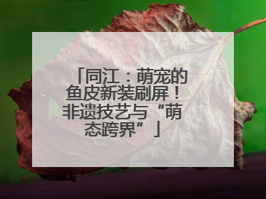 同江：萌宠的鱼皮新装刷屏！非遗技艺与“萌态跨界”