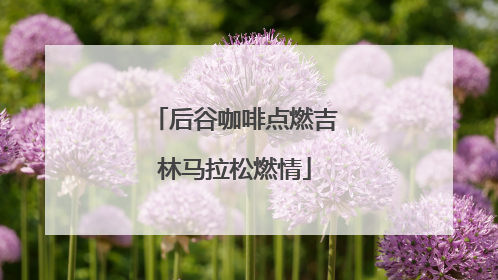 后谷咖啡点燃吉林马拉松燃情