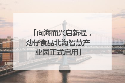 向海而兴启新程，劲仔食品北海智慧产业园正式启用