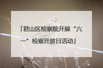 君山区检察院开展“六一”检察开放日活动