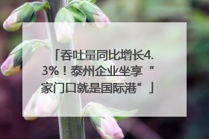 吞吐量同比增长4.3%！泰州企业坐享“家门口就是国际港”