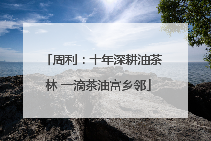 周利：十年深耕油茶林 一滴茶油富乡邻