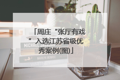 周庄“张厅有戏”入选江苏省级优秀案例(图)