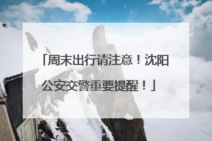 周末出行请注意！沈阳公安交警重要提醒！