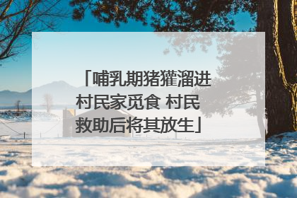 哺乳期猪獾溜进村民家觅食 村民救助后将其放生