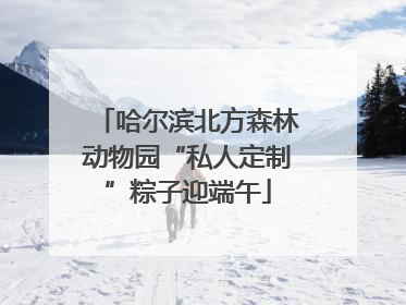 哈尔滨北方森林动物园“私人定制”粽子迎端午