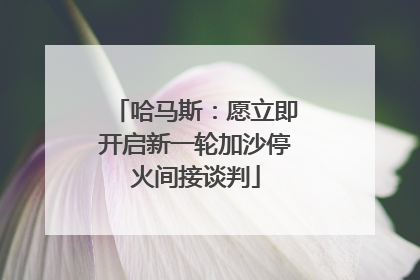 哈马斯：愿立即开启新一轮加沙停火间接谈判