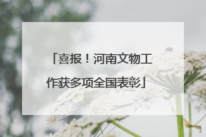 喜报！河南文物工作获多项全国表彰