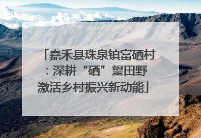 嘉禾县珠泉镇富硒村：深耕“硒”望田野 激活乡村振兴新动能