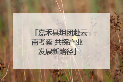嘉禾县组团赴云南考察 共探产业发展新路径