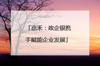 嘉禾：政企银携手赋能企业发展
