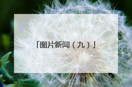 图片新闻（九）