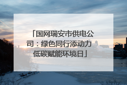 国网瑞安市供电公司：绿色同行添动力 低碳赋能环境日