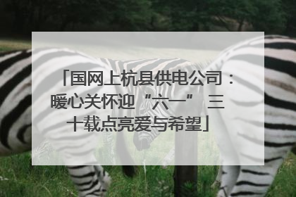 国网上杭县供电公司：暖心关怀迎“六一” 三十载点亮爱与希望