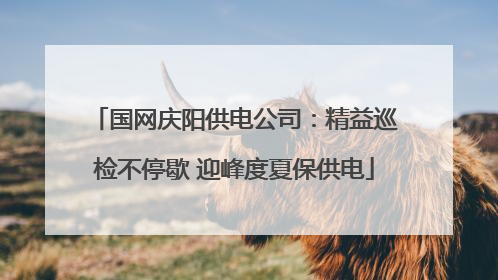 国网庆阳供电公司：精益巡检不停歇 迎峰度夏保供电