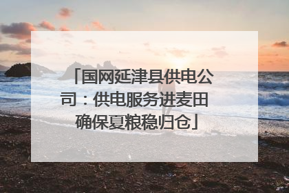 国网延津县供电公司：供电服务进麦田 确保夏粮稳归仓