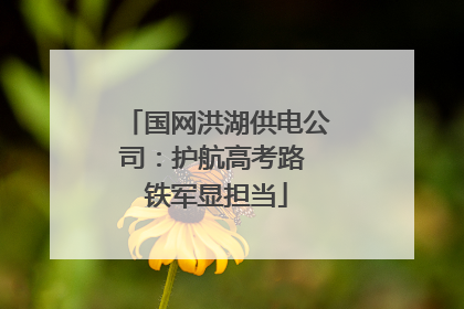 国网洪湖供电公司：护航高考路 铁军显担当