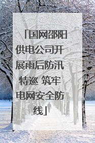 国网邵阳供电公司开展雨后防汛特巡 筑牢电网安全防线