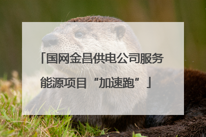 国网金昌供电公司服务能源项目“加速跑”